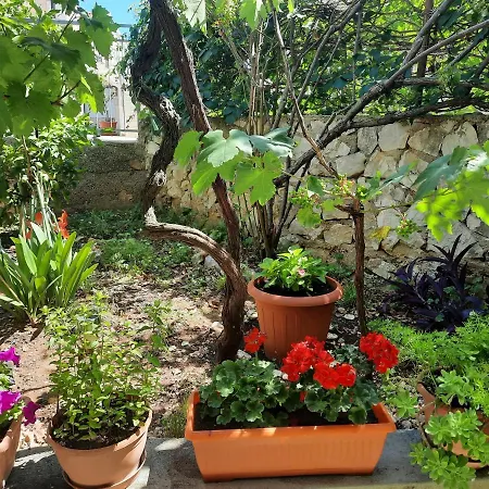 Apartment By The Sea Businci, Ciovo - 1081 *